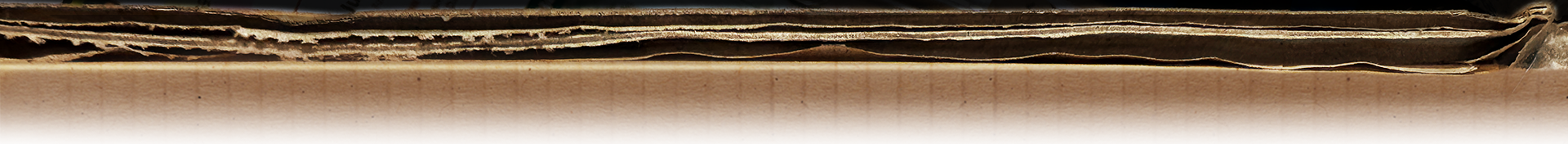 HW-WEB-HORIZ-RUFFL-EDGE