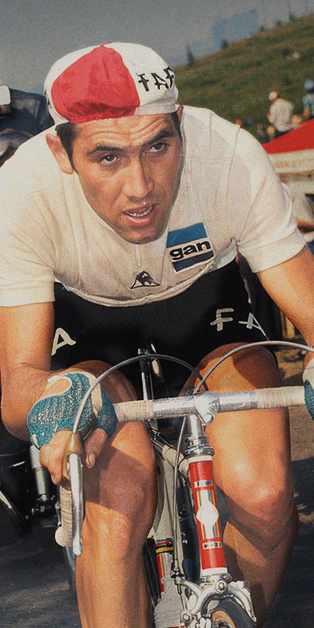 Eddy Merckx Bikes